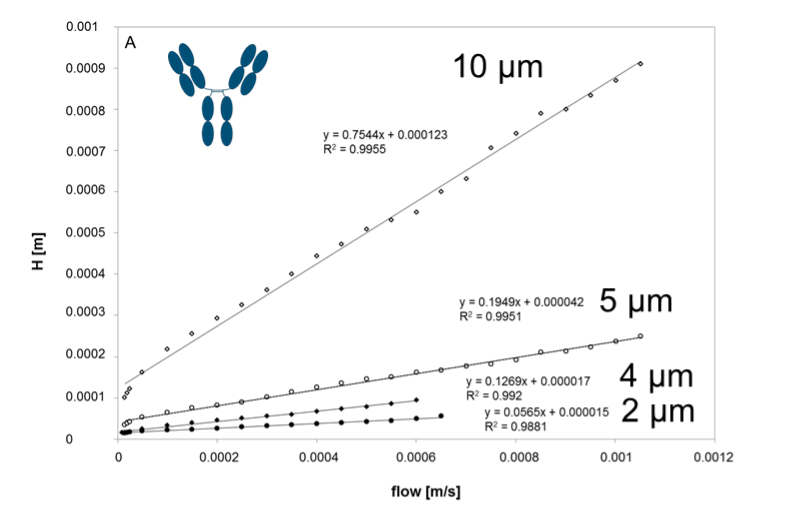 Influence of the particle size on the plate height (efficiency) of a monoclonal antibody separation